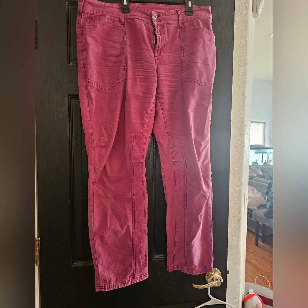 WOMEMS SIZE 31 PILCRO PANTS